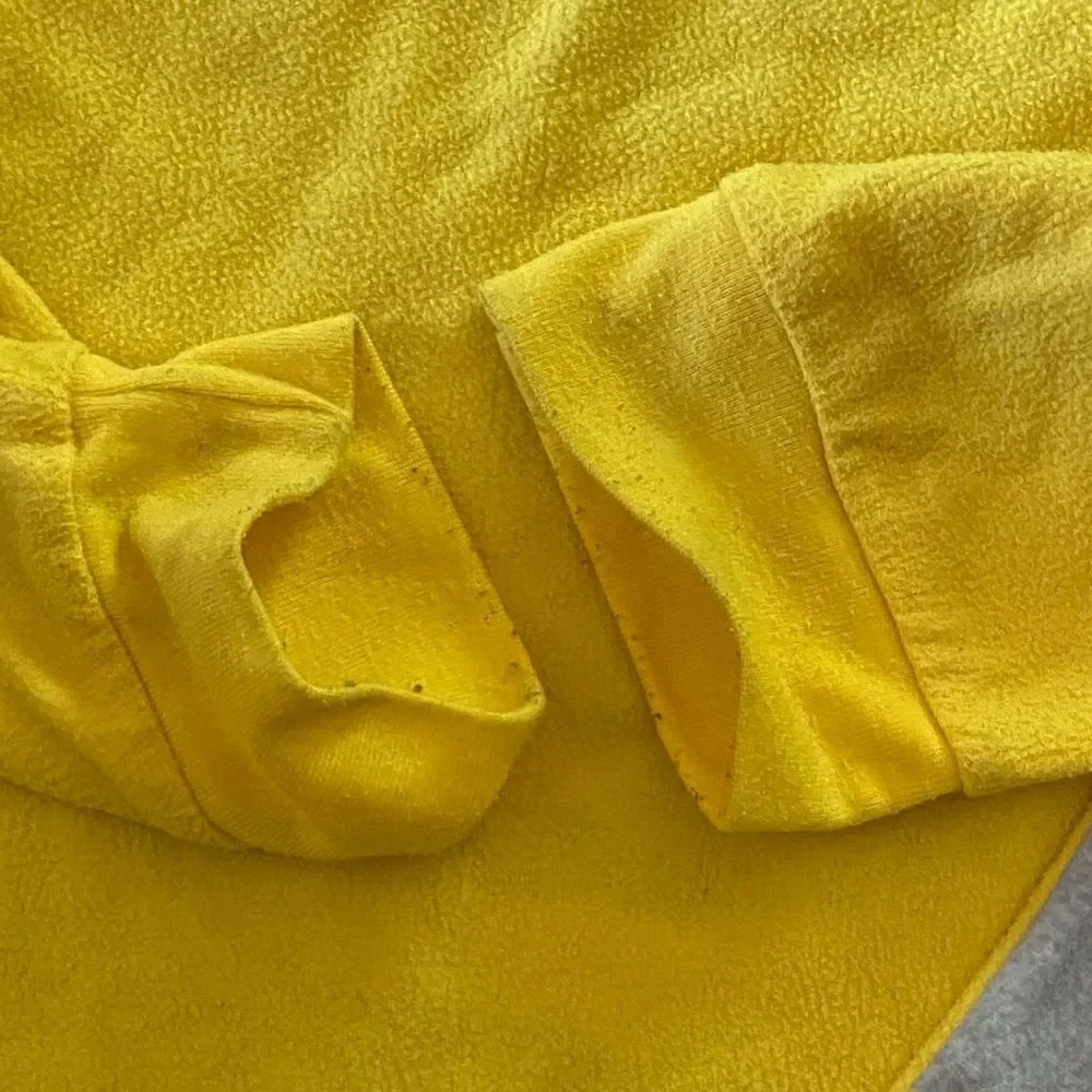 Pokemon vibrant yellow